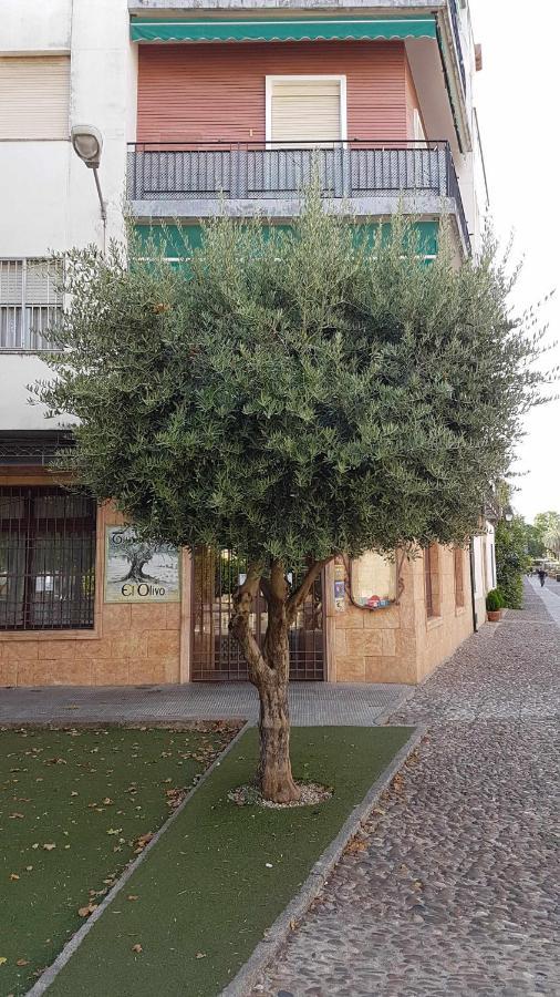 Fantastico Apartamento Junto A La Juderia قرطبة المظهر الخارجي الصورة
